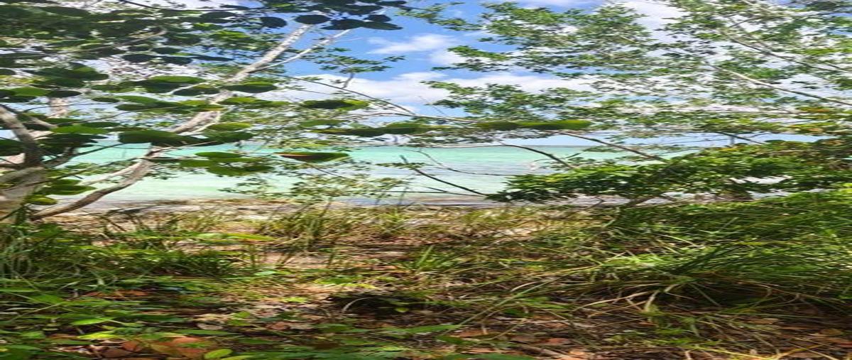 Foto de terreno habitacional en venta en  , aarón merino [colonia], bacalar, quintana roo, 0 No. 03
